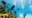 DIVING EXCURSIONS
