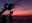 NIGHT FISHING